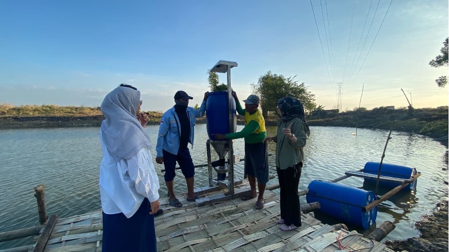 Menjaga Ekosistem Kolam Agar Ikan Tidak Mudah Sakit